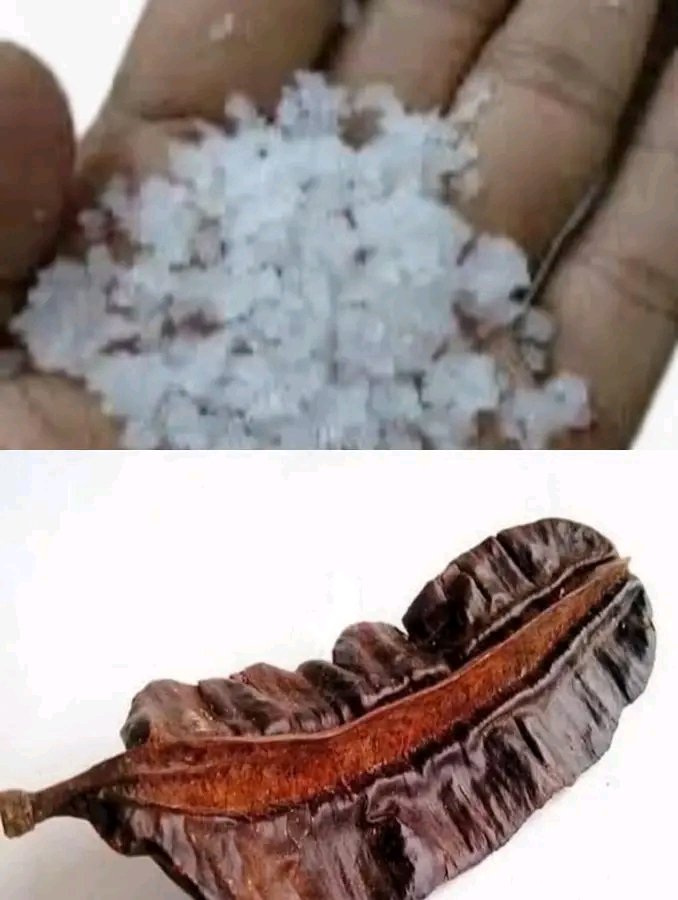 When the path feels heavy and things are not moving as they should, nature offers a way to reset your energy and find peace

The Process:
Get your Aidan and Sea Salt.
Cut the Aidan into pieces and boil it in enough water.
Once boiled, add your sea salt
Use this water for a