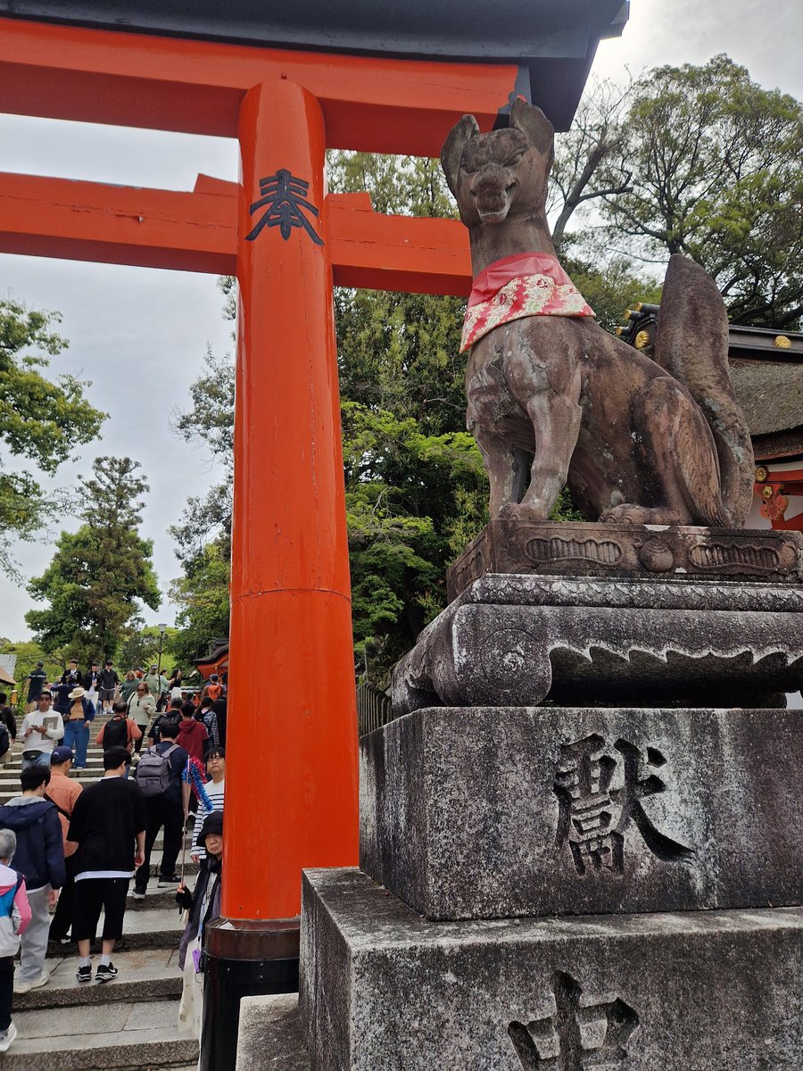 ailecvazz's tweet photo. Octavo día - Kioto 🎎🎋 https://t.co/hf0b8NpccQ