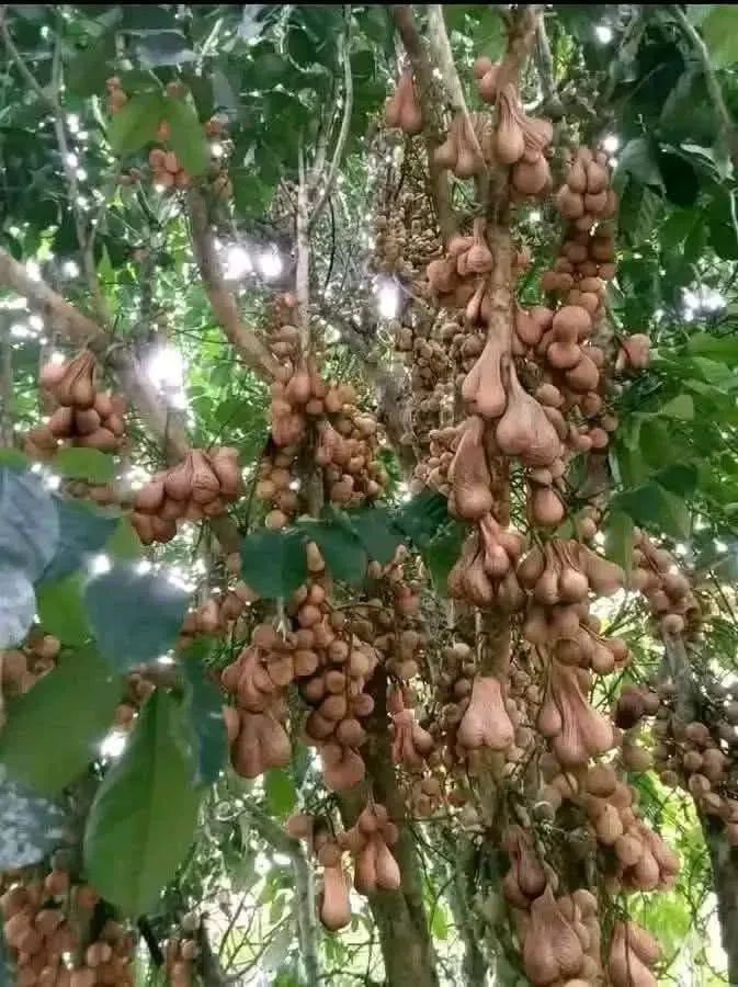 مصطفى tweet media