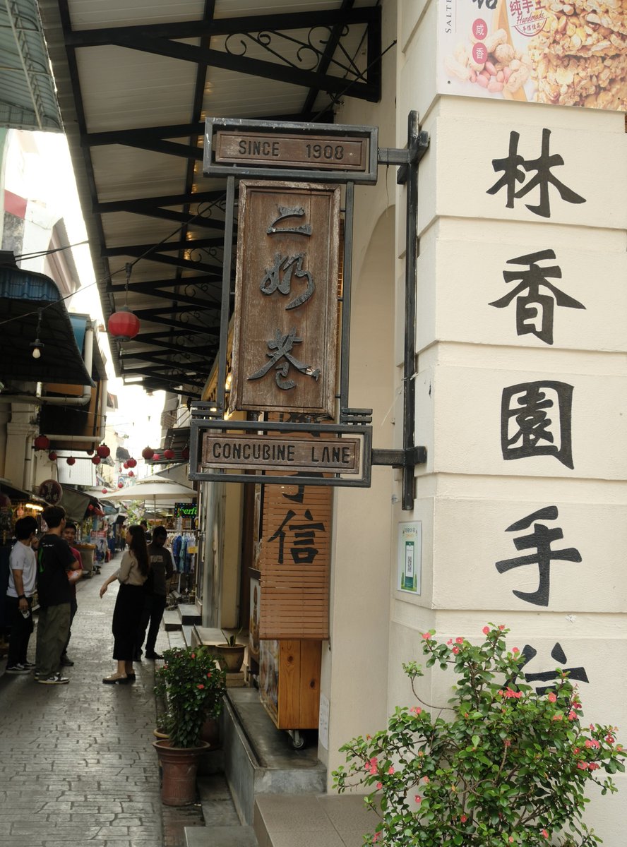 thea 𓇼.𖥔 ݁ ˖๋ ࣭ ⭑ tweet media