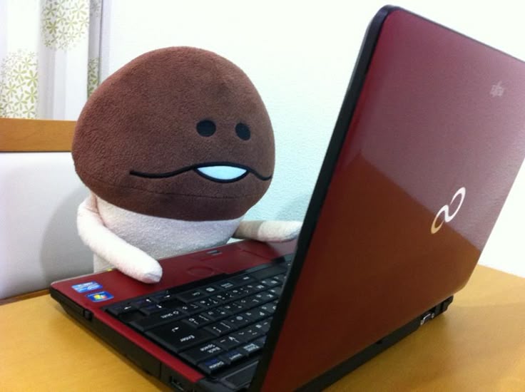 모기버섯 tweet media