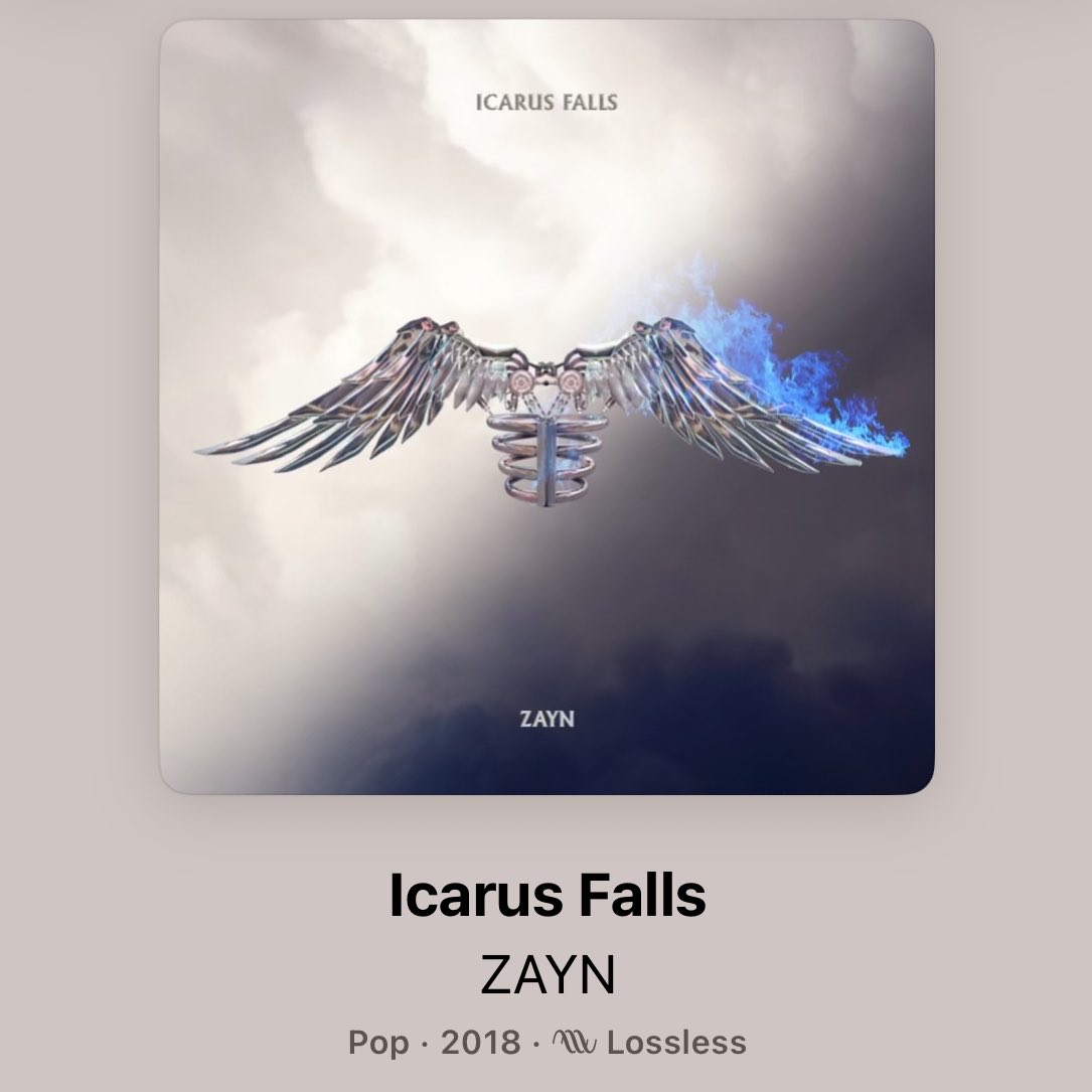 ✧⋆*｡emi’s seeing zayn 🌪️🐆 tweet media