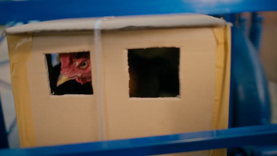 ᴍᴇʀᴄᴜʀʏ tweet media