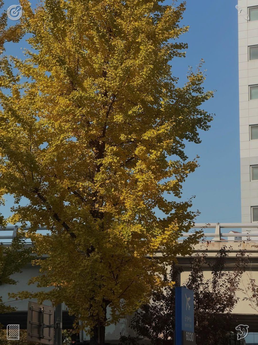 Factory employee: equipment, schematics, commitment!