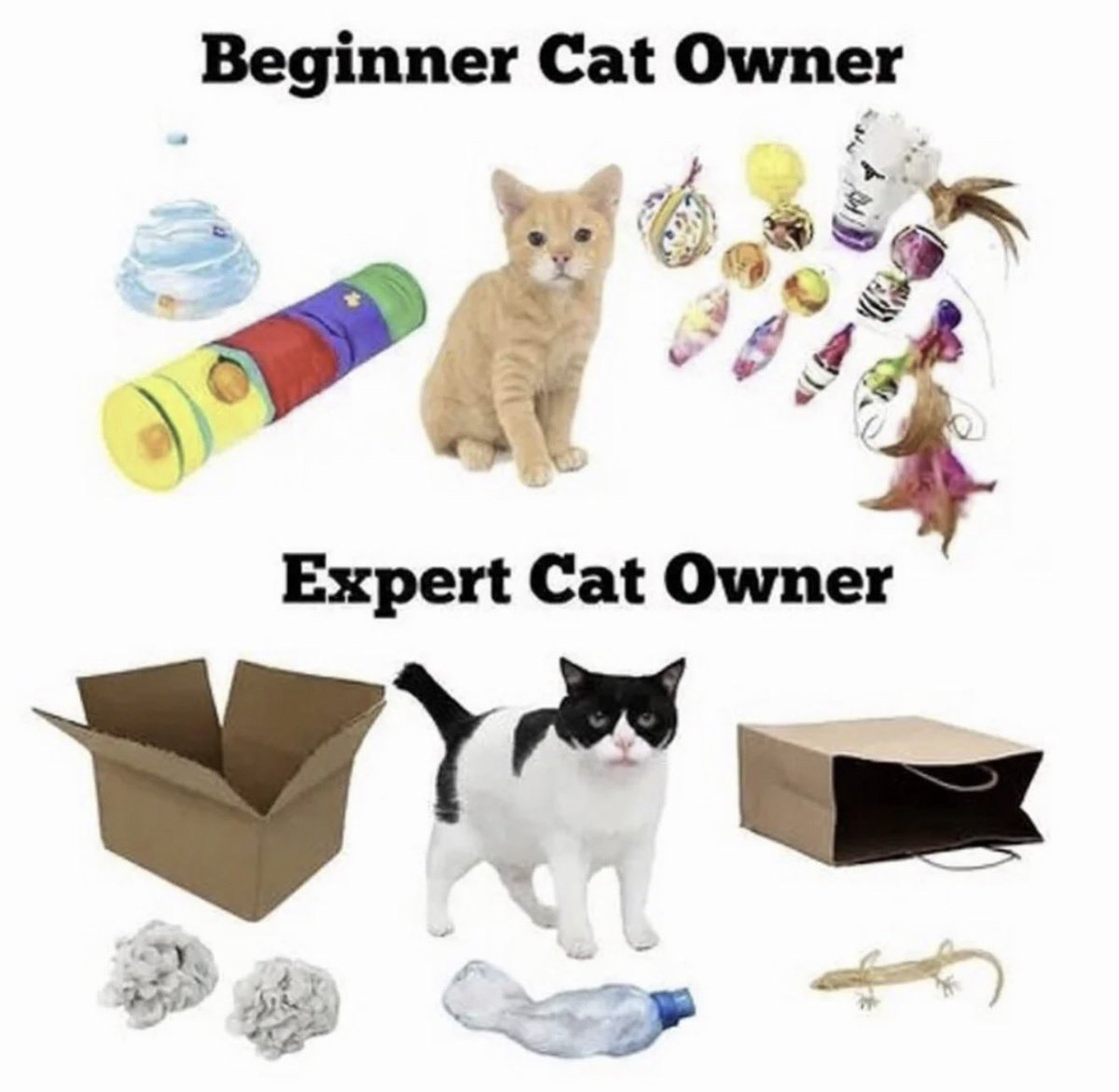 Antidepressant Content tweet media