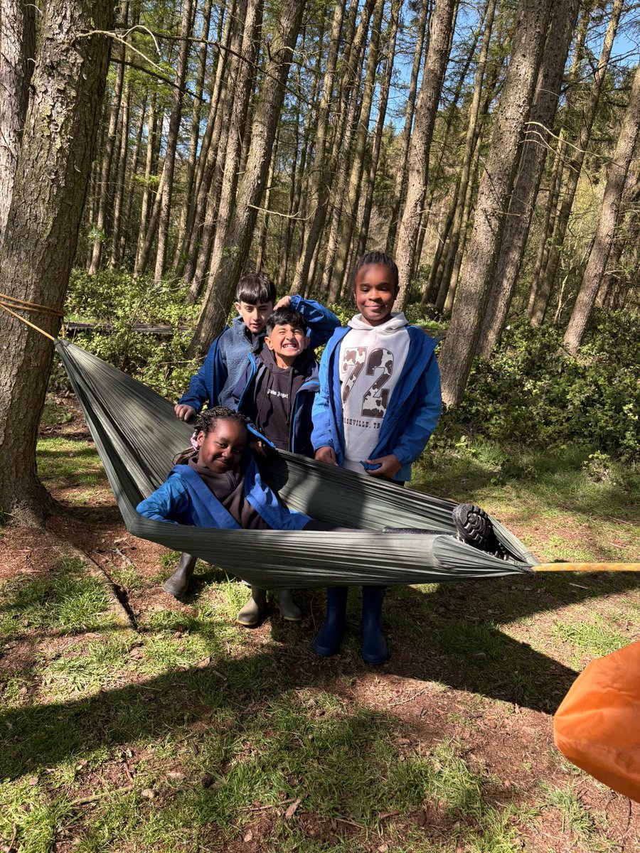 Roundhay Year 4 tweet media