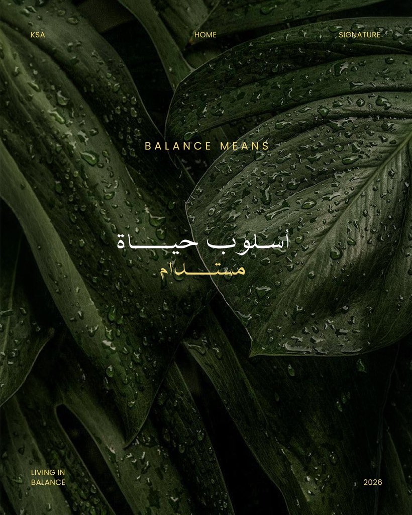 ‏Balance tweet media