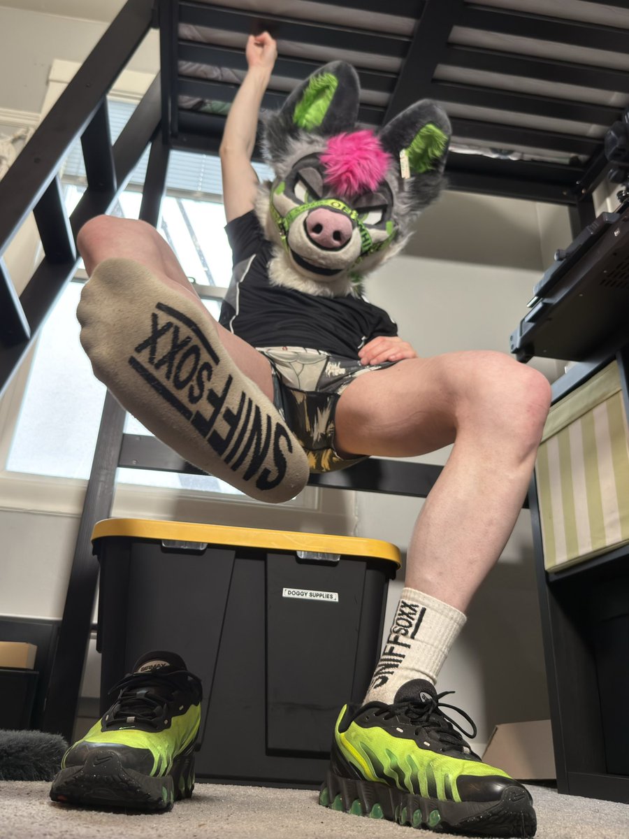 Pup Oreo 🔜 FWA tweet media