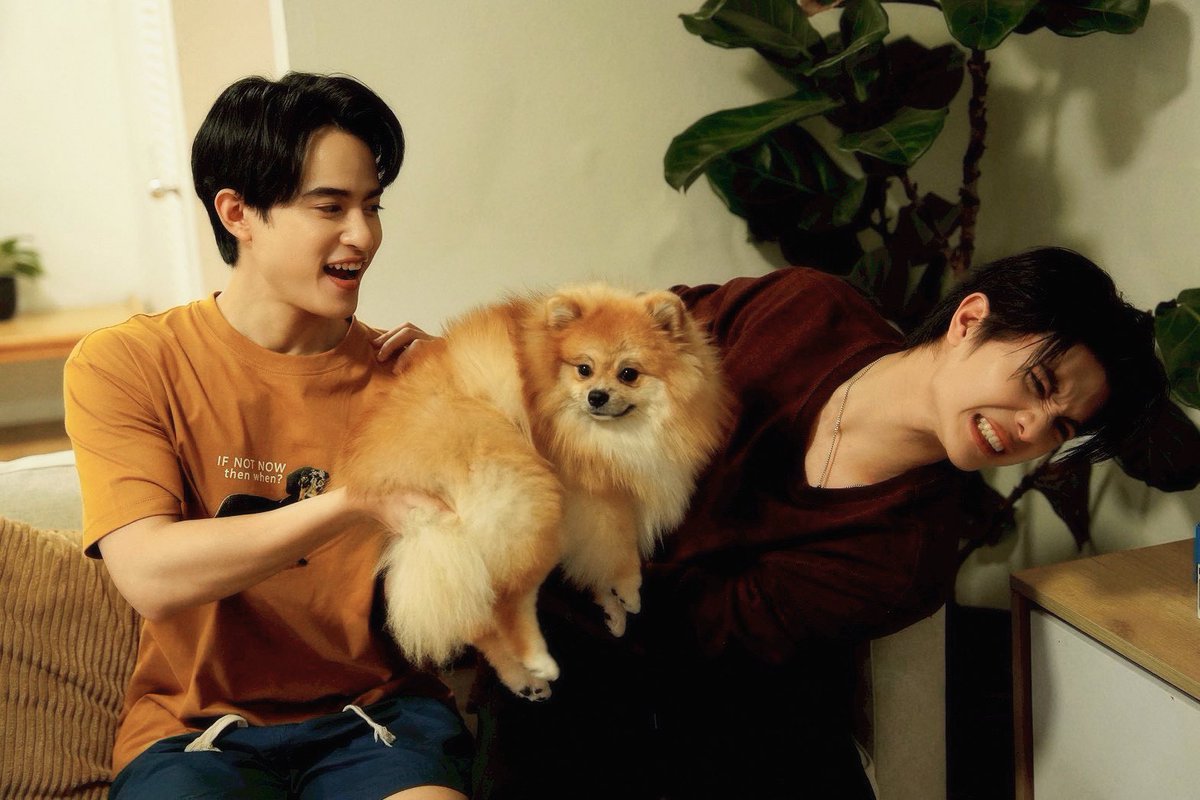 WE TP DM_westie♥️💙 tweet media