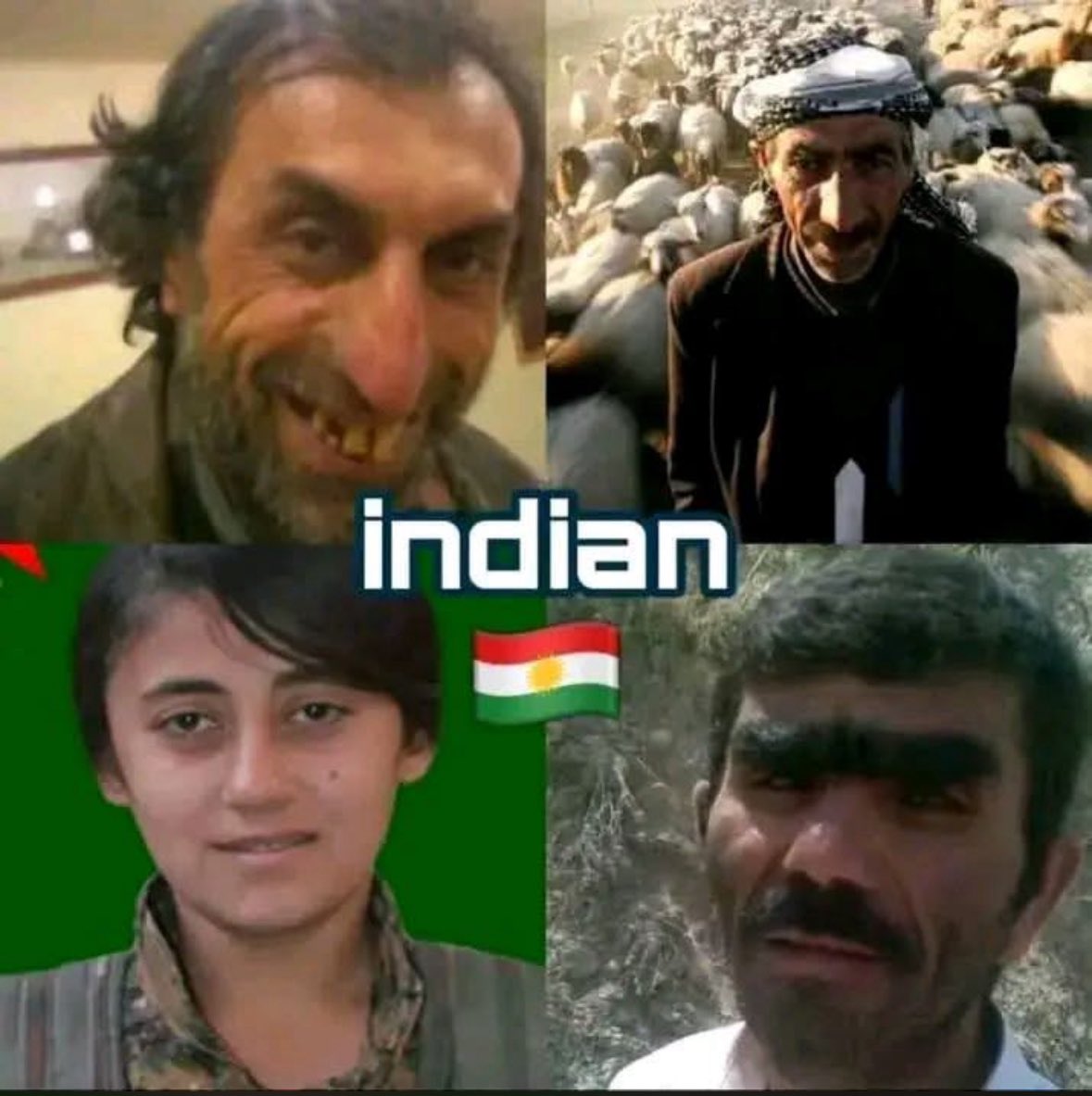 Mete Pamir tweet media