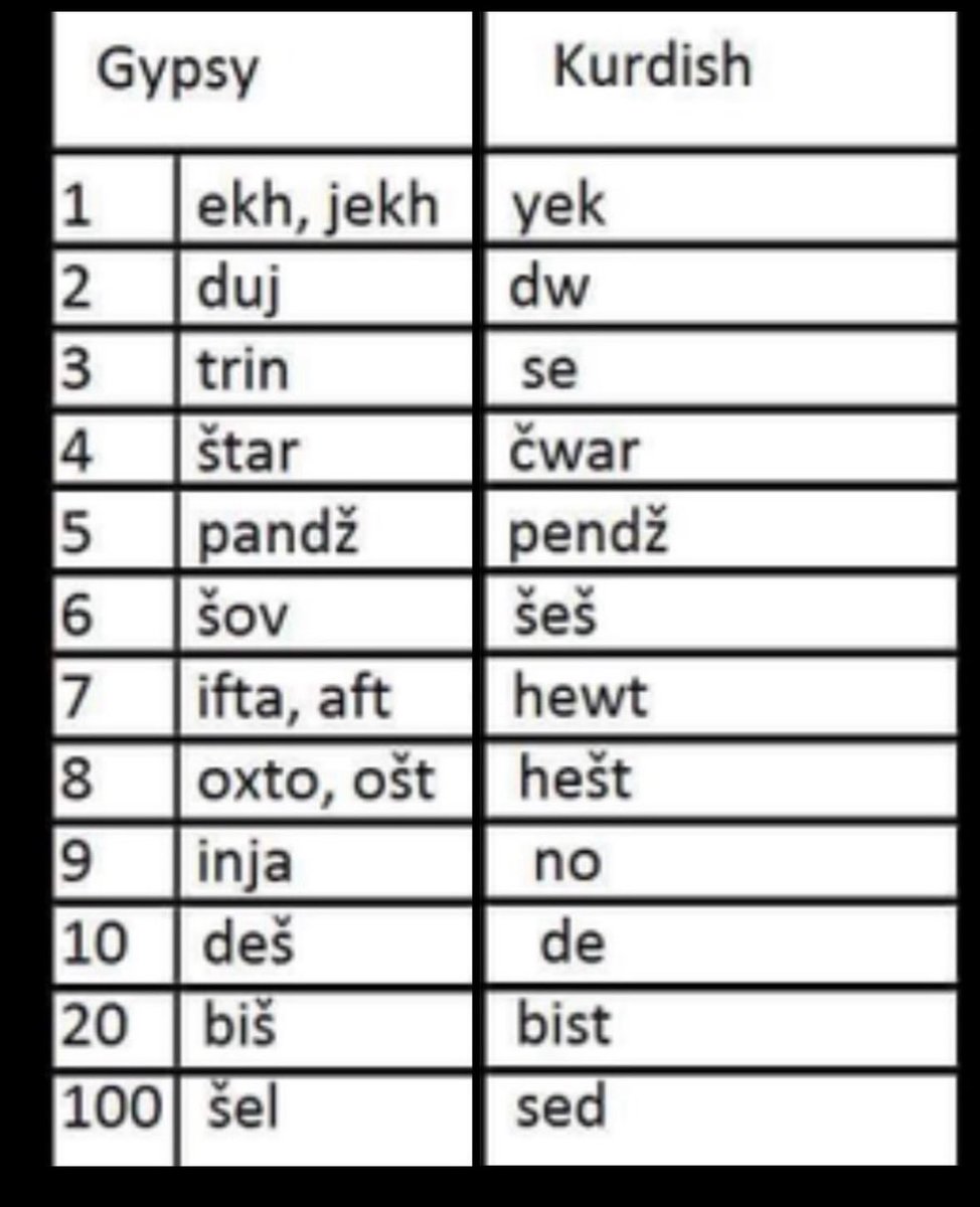 Mete Pamir tweet media