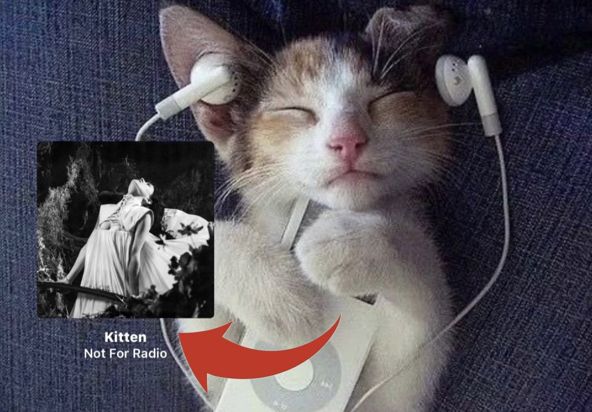 sabrina ♱ tweet media