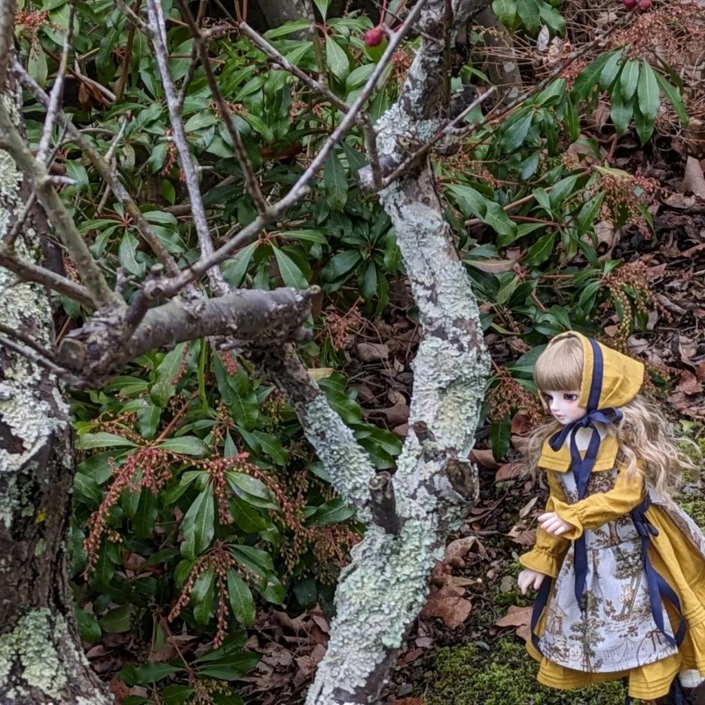 おぶち tweet media