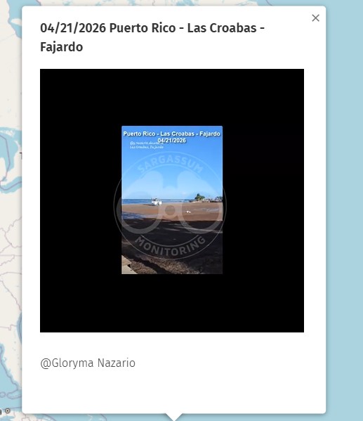 SargaMonitoring's tweet image. 🚨 New Sargassum Reports – April 21, 2026 🚨
New arrivals have been mapped,
including in #PuertoRico #LasCroabas

Stay updated with the live global map 🌍
👉 sargassummonitoring.com/en/official-ma…

#Sargazo #Sargasses #sargassum #Sargasso #MonitoreodeSargazo #SargassumMonitoring