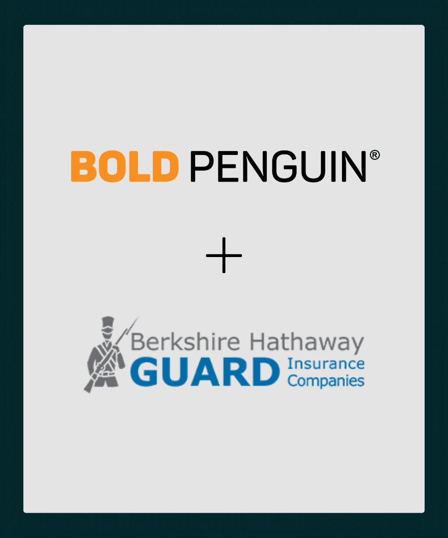 BOLD PENGUIN tweet media