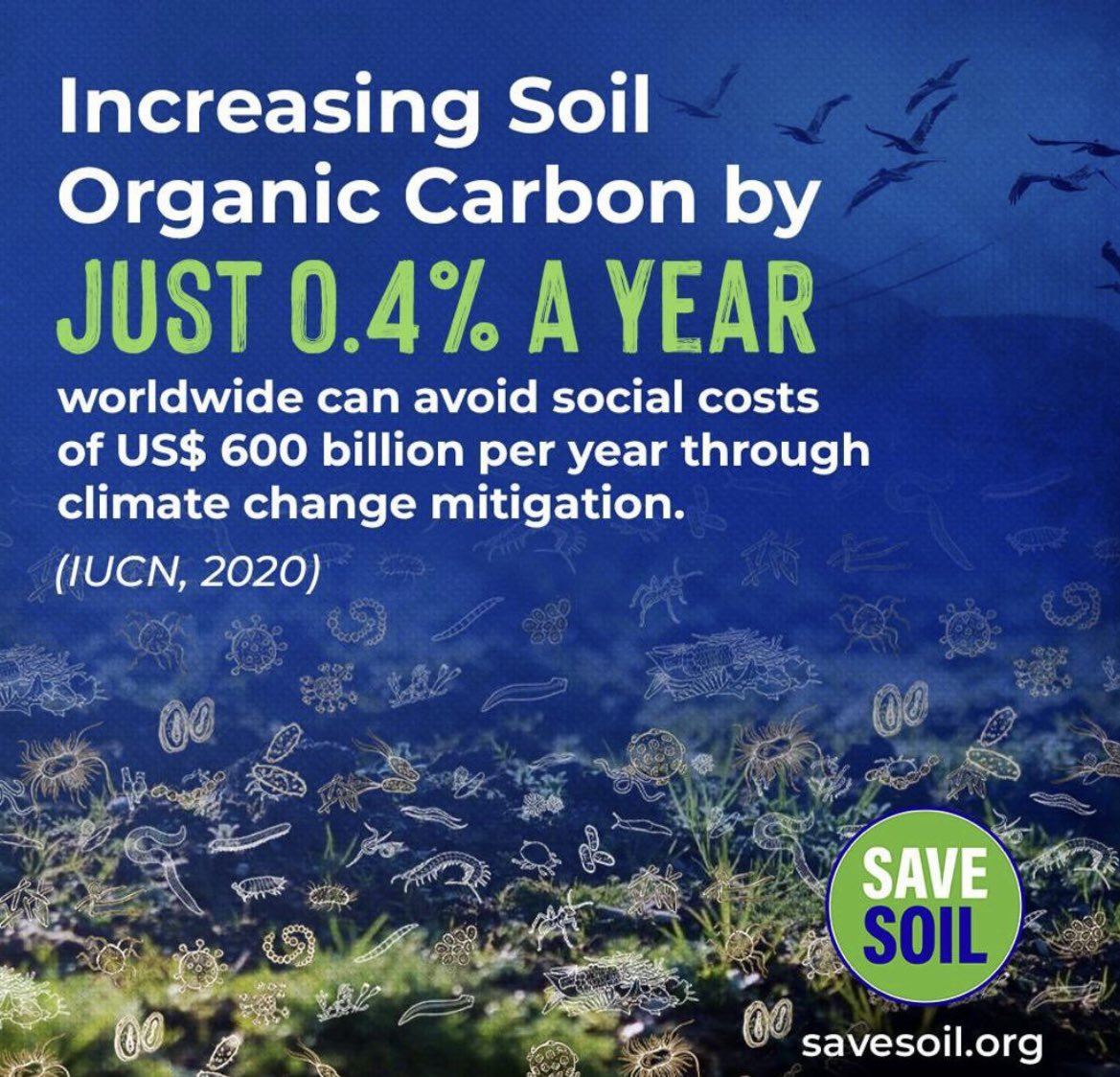 MSavesoil's tweet image. #SaveSoil
#SoilForClimateAction
#Carbon 
#SoilHealth