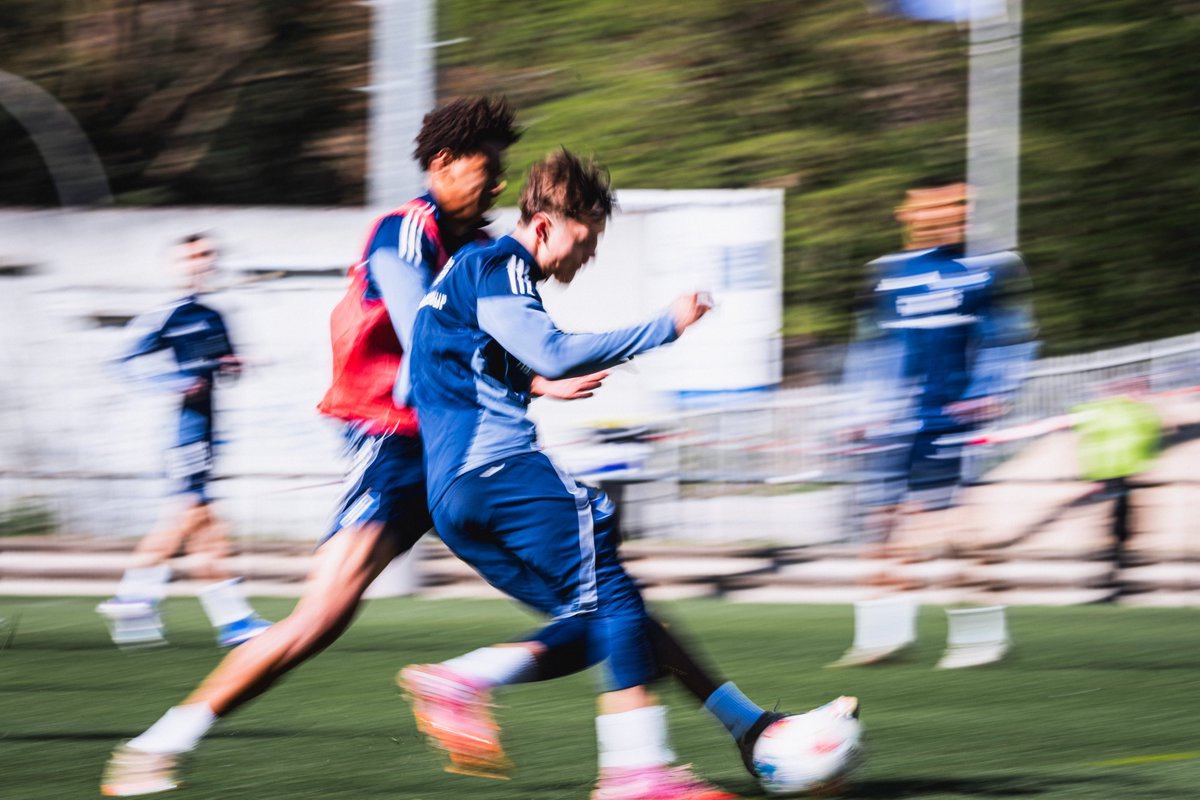 HSV_English's tweet image. 𝙁𝙪𝙡𝙡 𝙨𝙥𝙚𝙚𝙙 into the new training week! ⚡️

#nurderHSV #Training