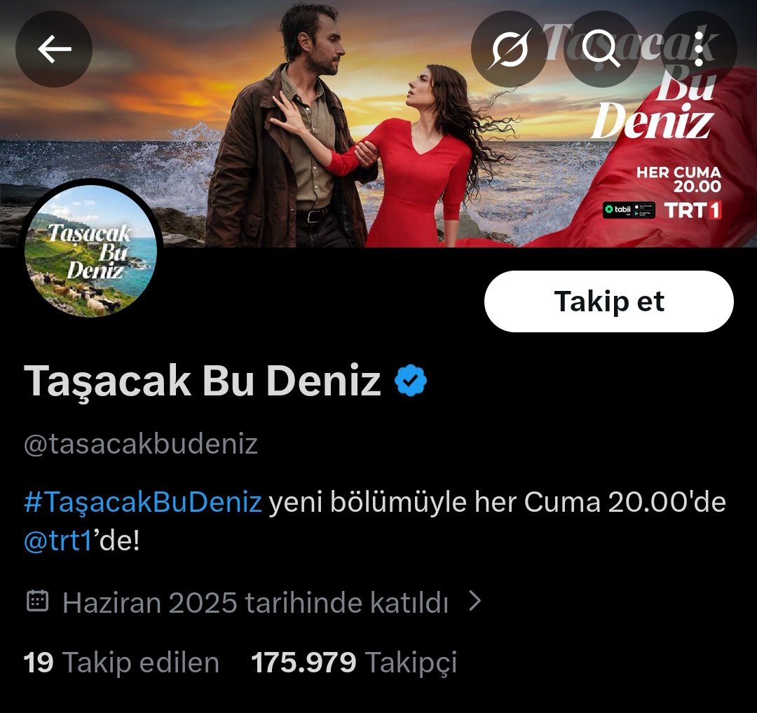 simurg tweet media