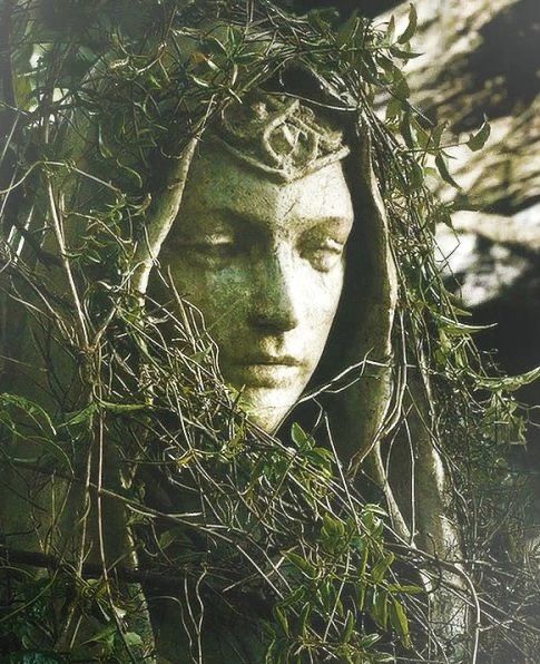 Renirien tweet media