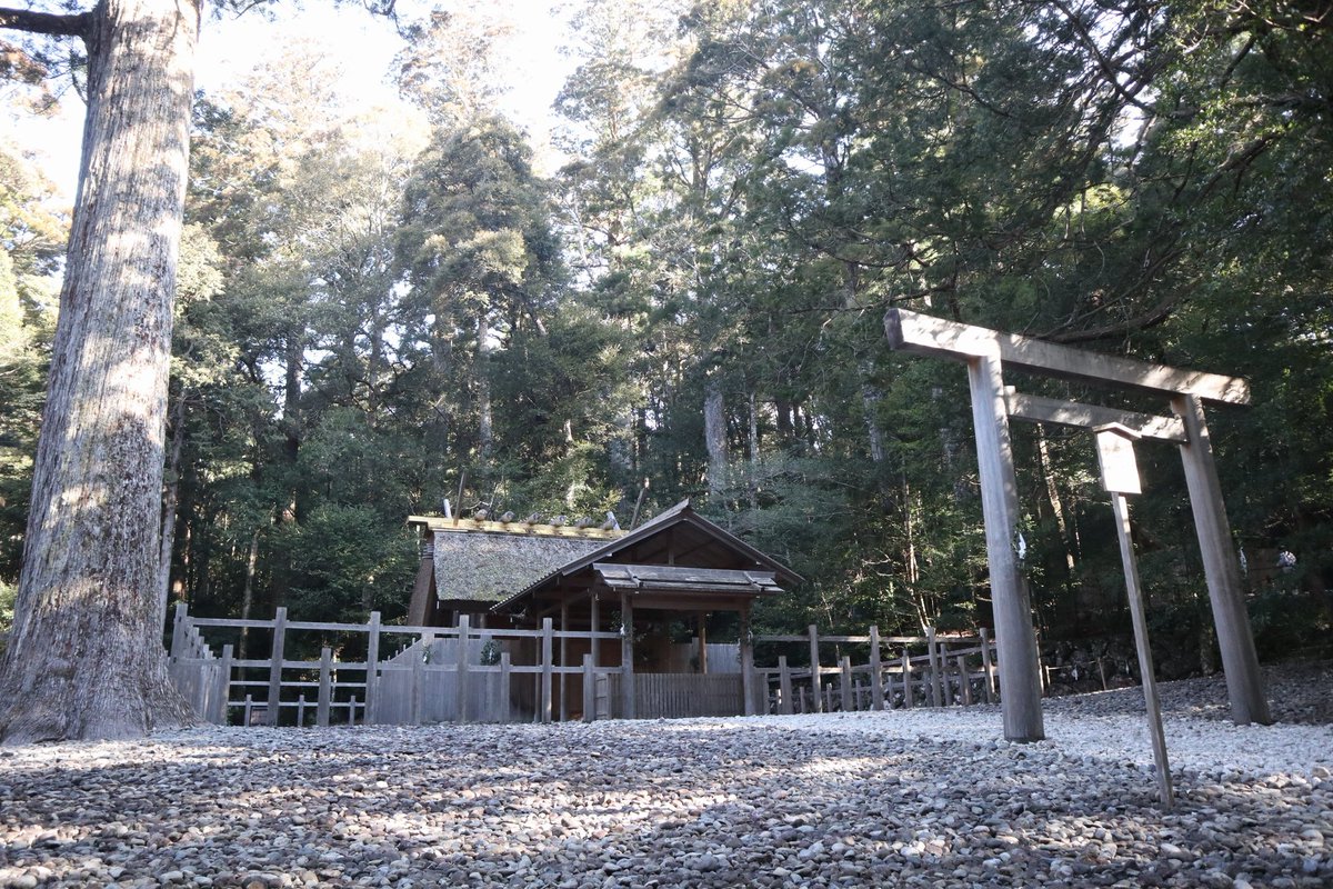 Бедный взрослый ребенок tweet media