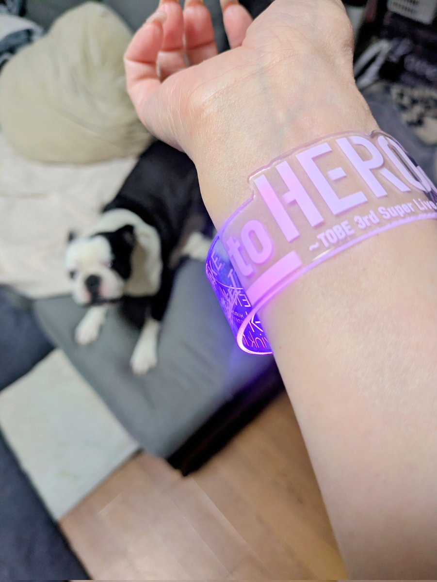 ベンディ tweet media