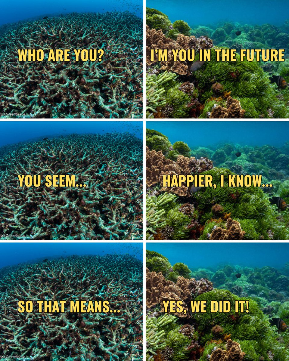 Greenpeace Malaysia tweet media