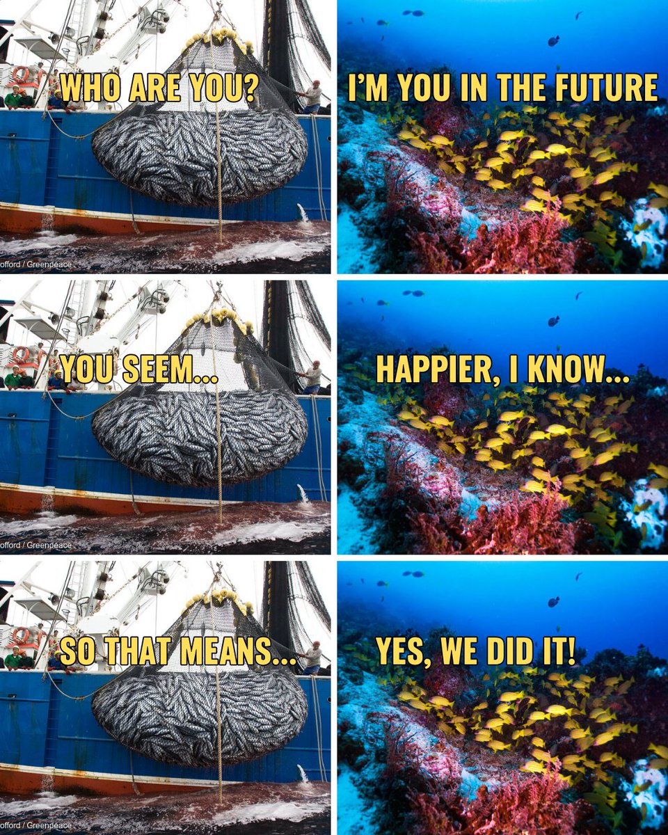 Greenpeace Malaysia tweet media