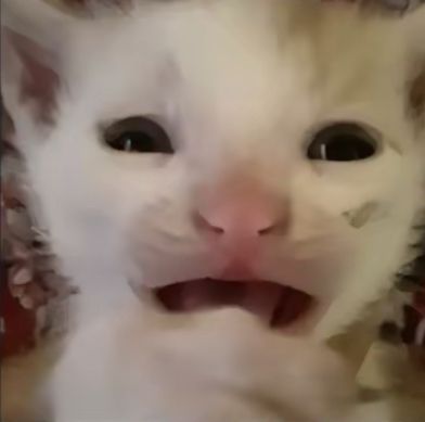 tanaa || Eyes On You tweet media