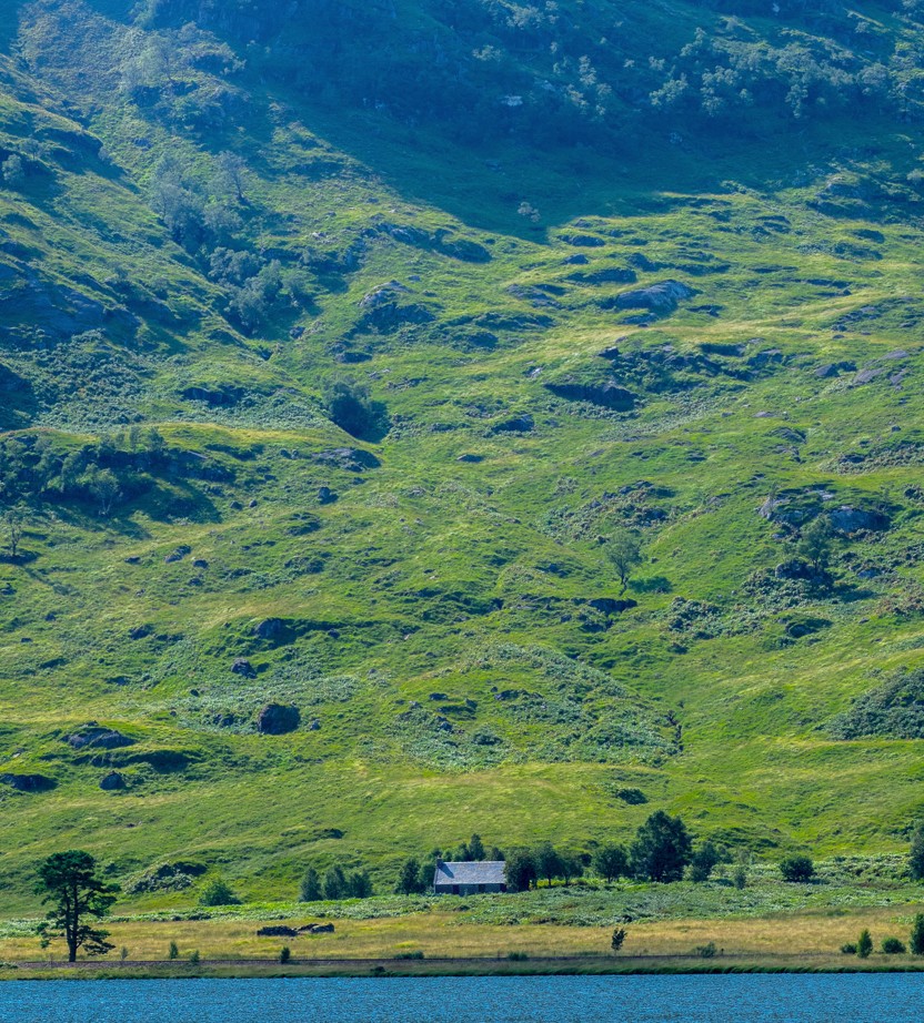 OurBestTimes's tweet photo. Little House at the bottom of the hill by the railway next to the Loch, sounds ideal right now... 
#wallart #wallartforsale 
https://t.co/CJtCJNm95z
#Scottish #pictures #remote #rural 
#themed #Photography https://t.co/qfBaYN1P0y