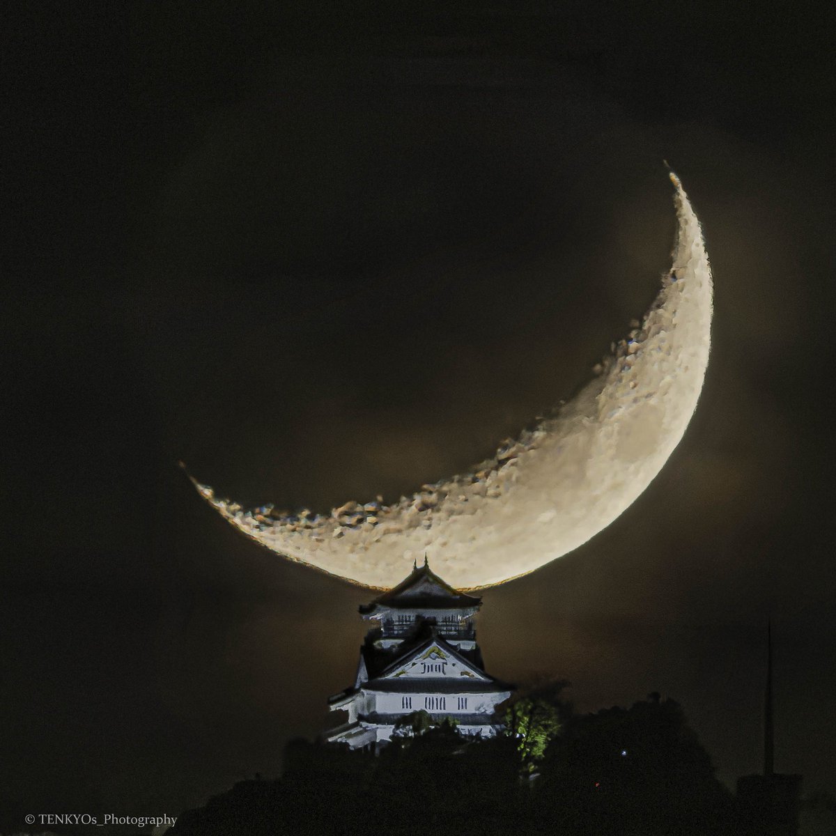 天京@Photography tweet media