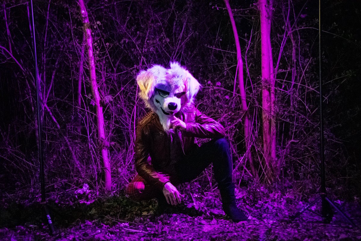 TemSaturo's tweet image. Let’s have a magical walk in the forest tonight 💜🖤💛

#Furry #furries #fursuit #fursuiteveryday
