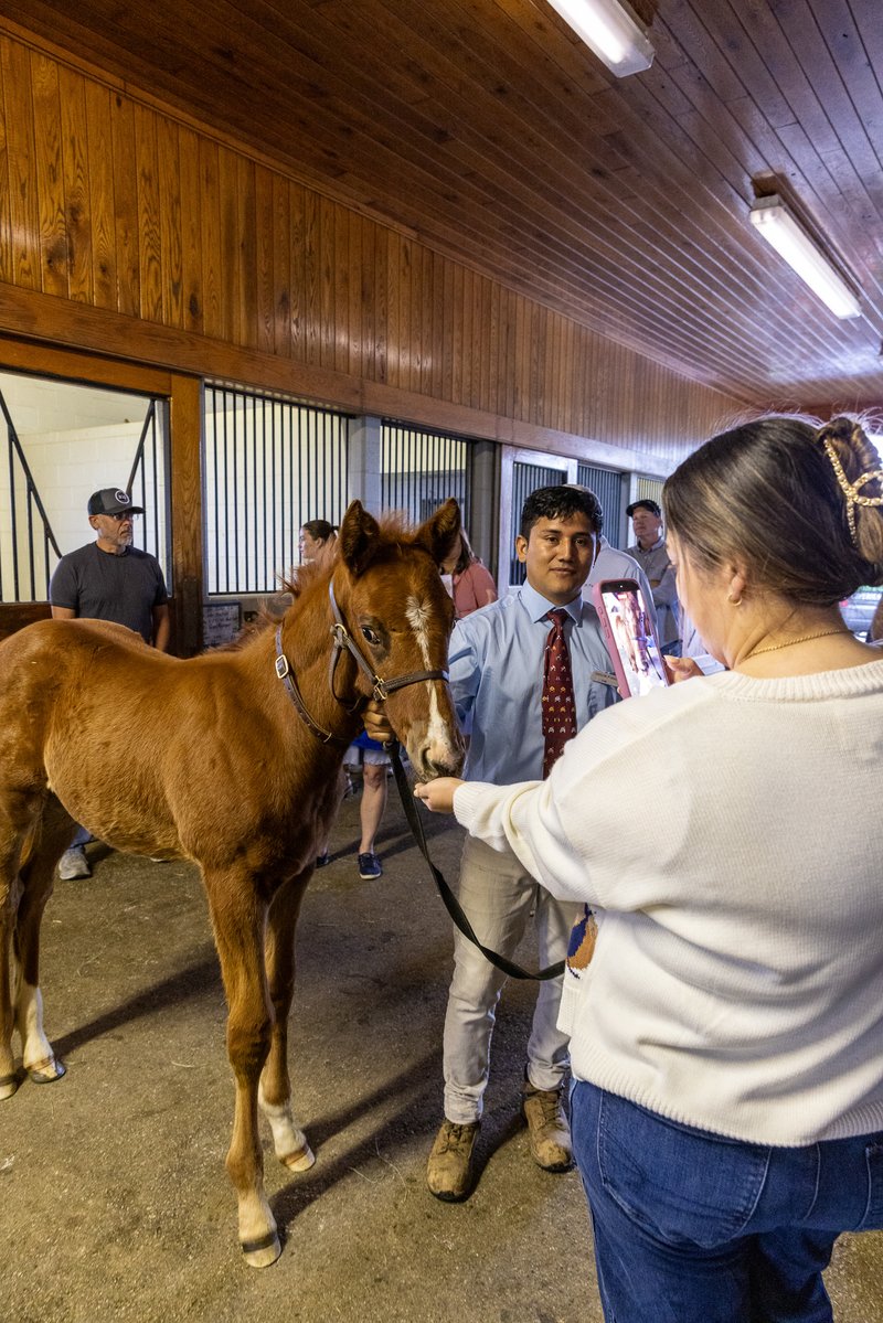 Taylor Made Farm tweet media