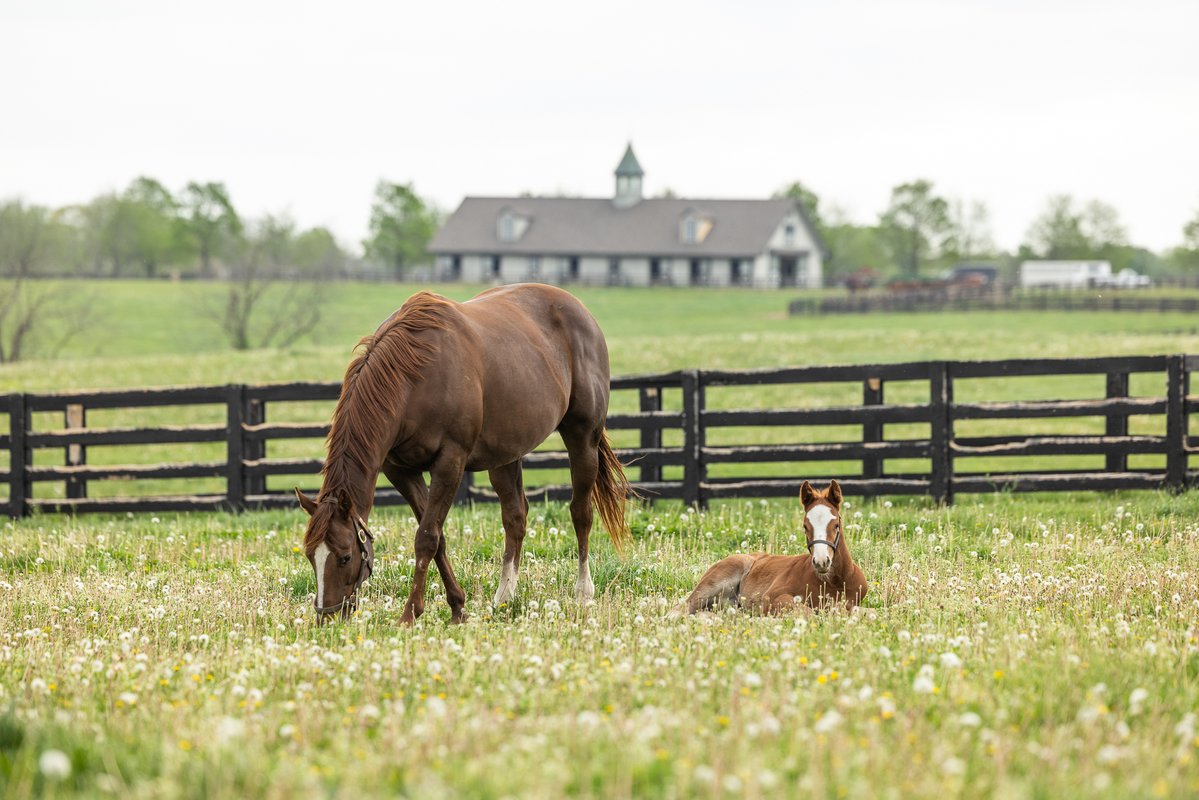 Taylor Made Farm tweet media