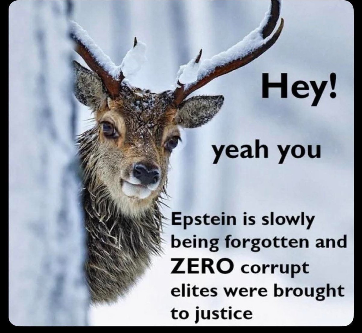 CraigGo8's tweet photo. #EPSTEİN  #justice https://t.co/k42MzEwlbA