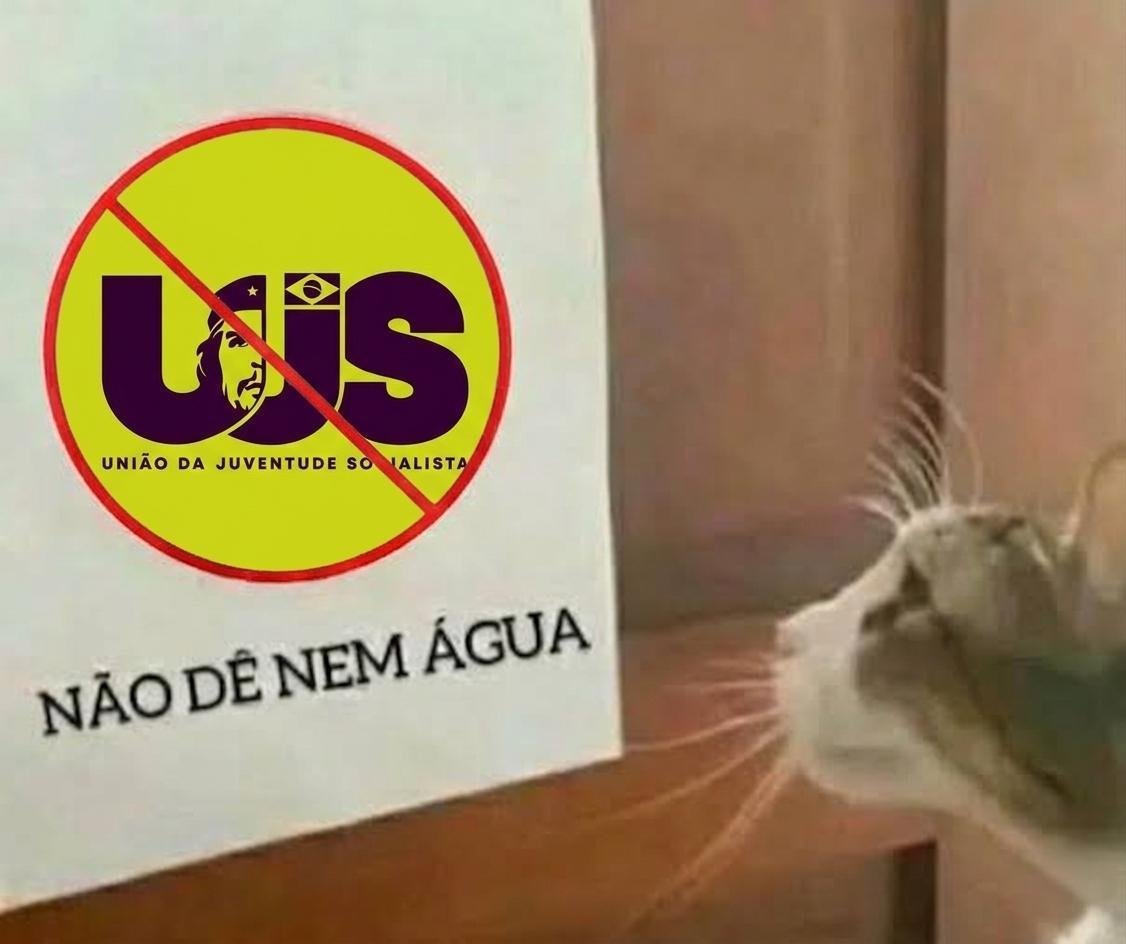 Tesouro da serra tweet media