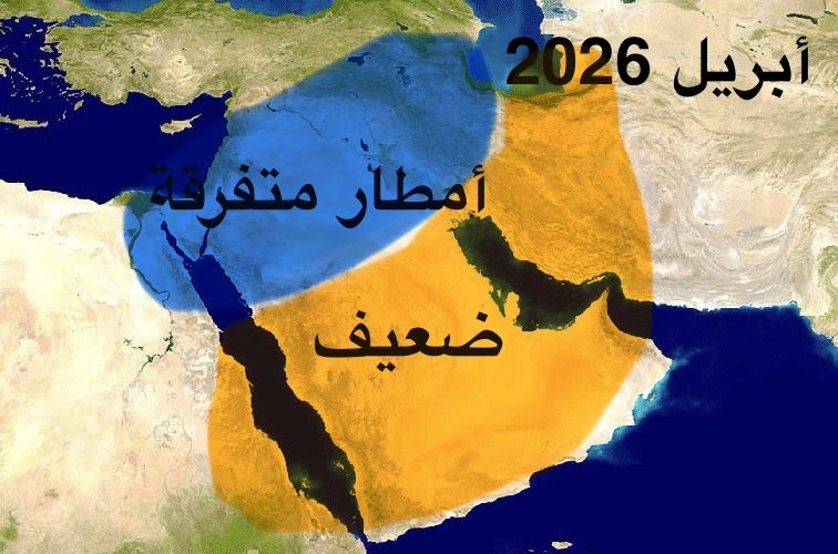 برق سدير tweet media