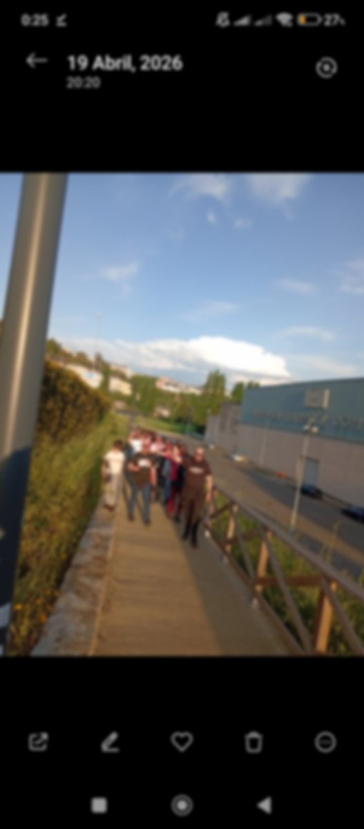 BRIGADAS LUCENSES tweet media