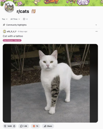 fuzzow tweet media
