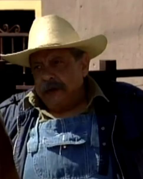 detlnovelas 🌎 tweet media