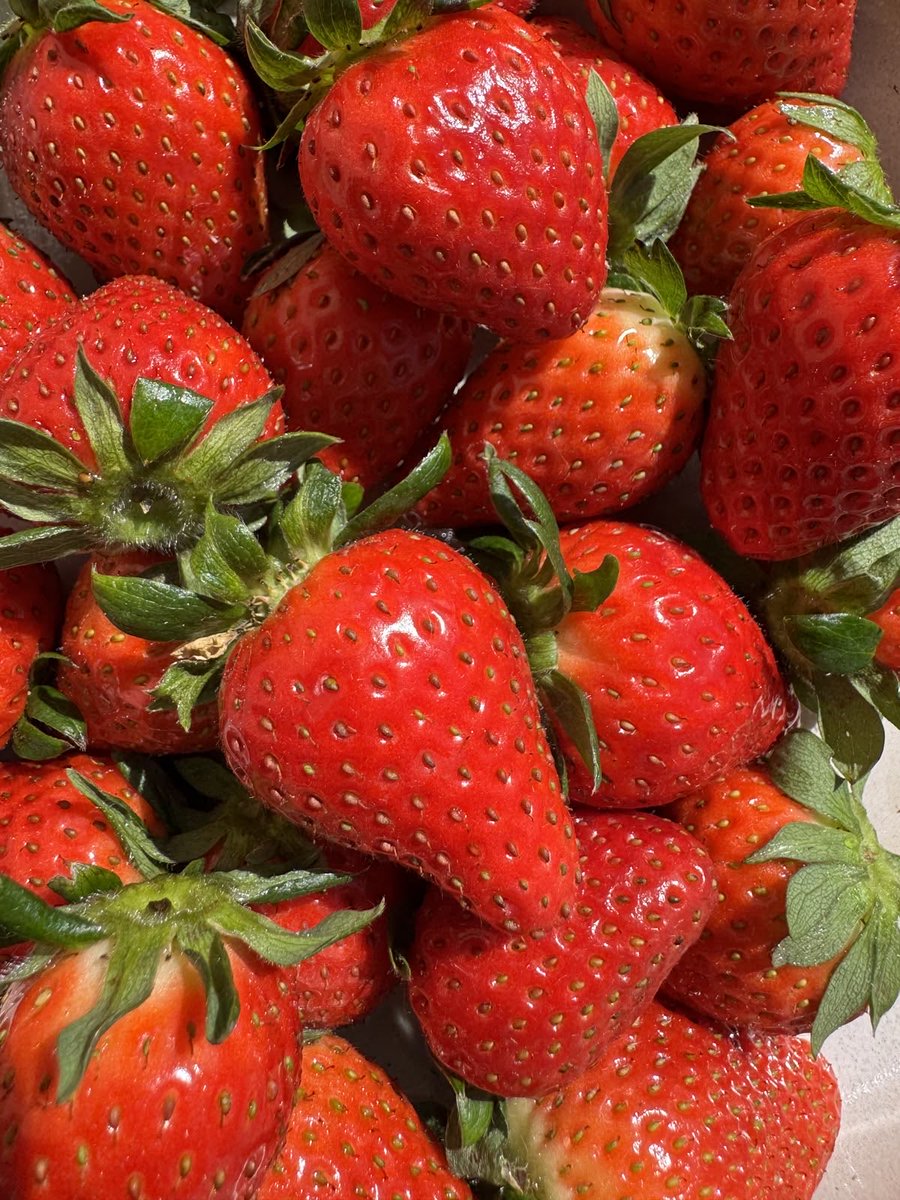 吸 我 离开 tweet media