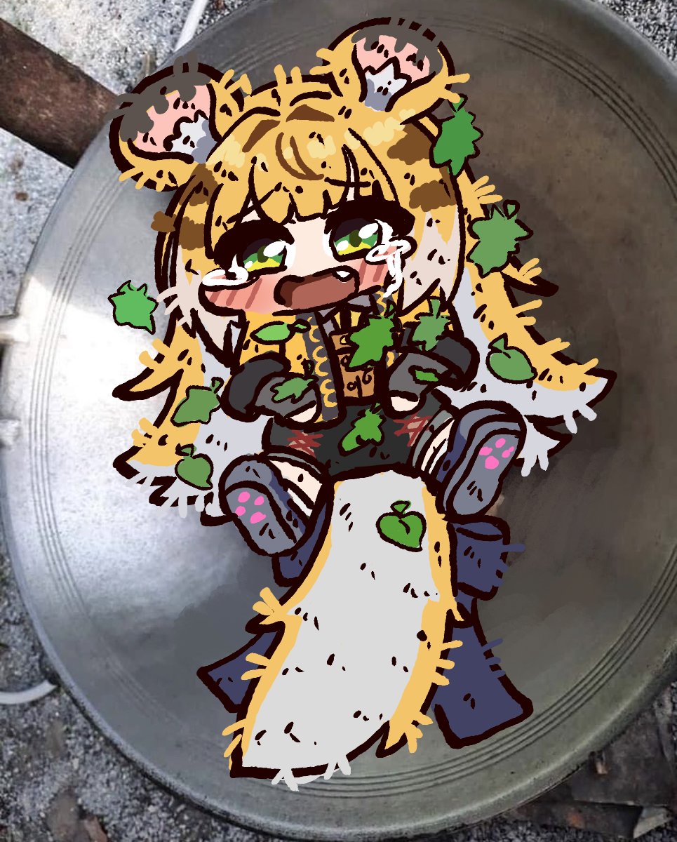 민트라쿤 tweet media