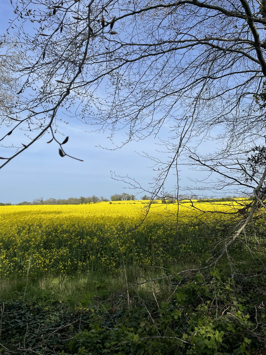 Colshort66Colin's tweet photo. A country landscape from my drive to work ๐ #GardenCounty https://t.co/9ROkba9CrG