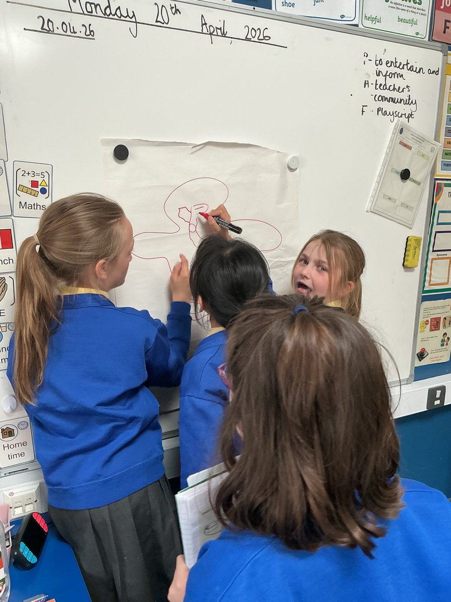 StMaryB17's tweet image. #Y4 Are exploring what we know in science about animals! 

#science
