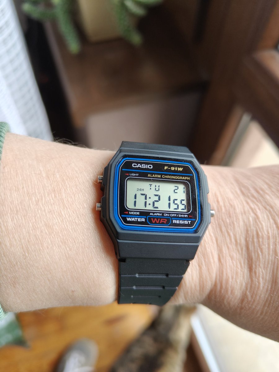 Bartek gdzieś w Beskidzie Niskim tweet media