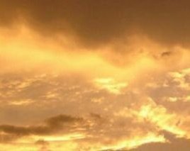 #𝑷𝑹𝑰𝑴𝑨𝑺 ֶָ֢ 👯‍♀️ tweet media