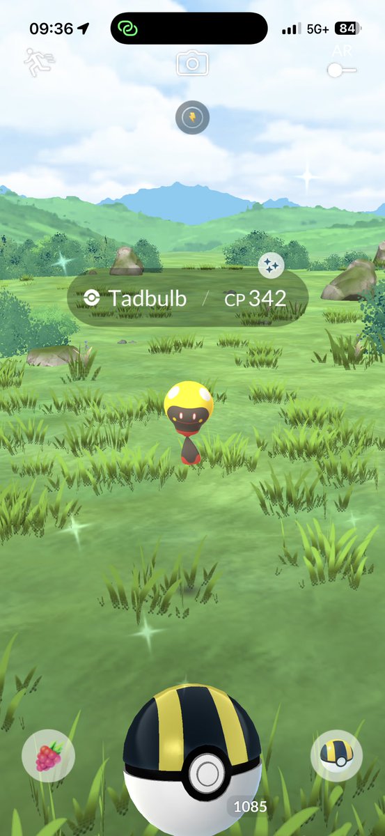 Zackattack8805 tweet media