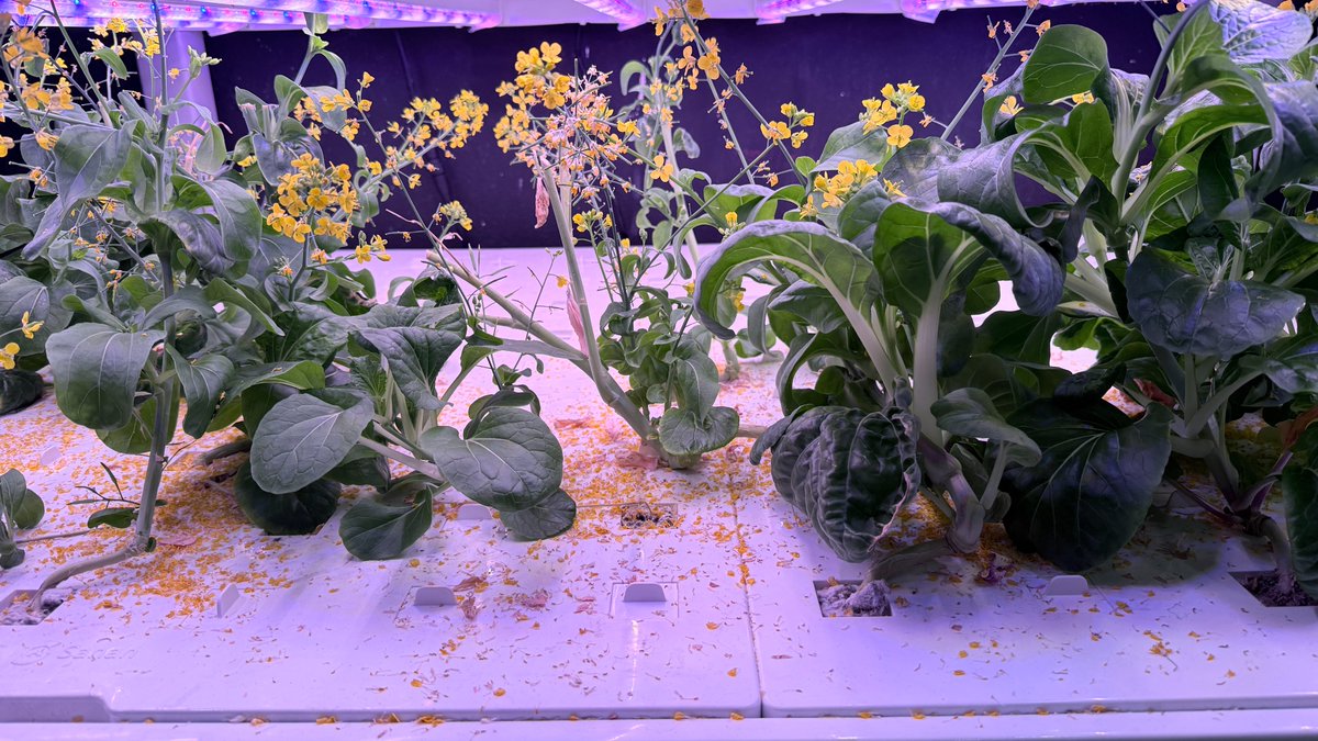 The Mojave High School tweet media