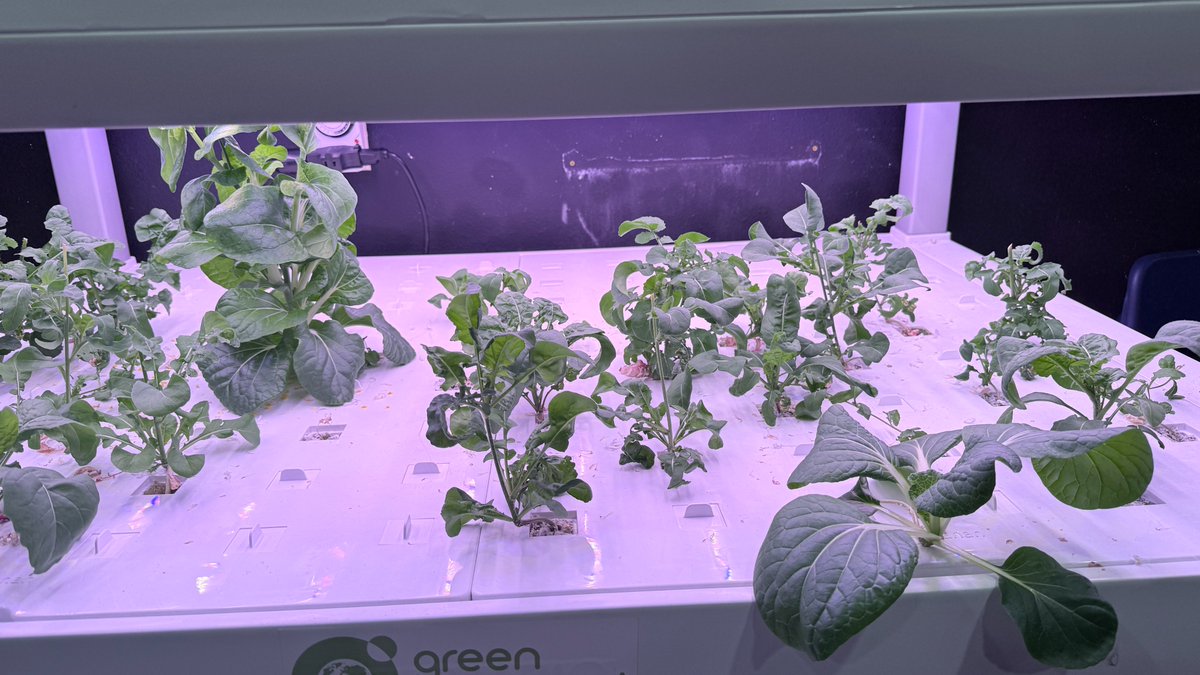 The Mojave High School tweet media