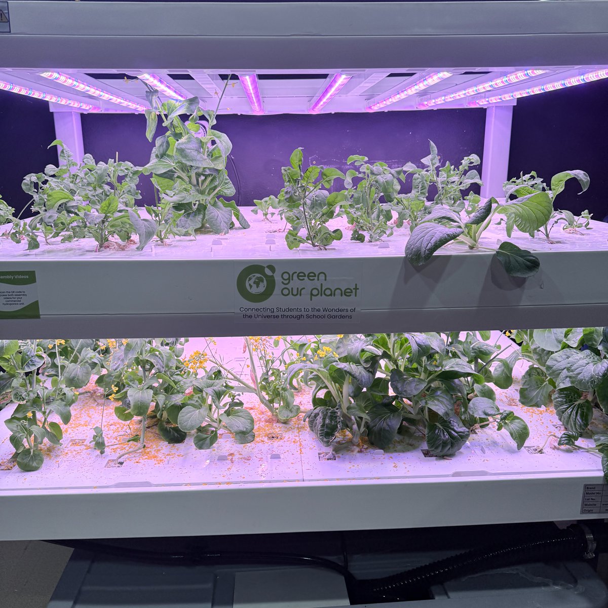 The Mojave High School tweet media