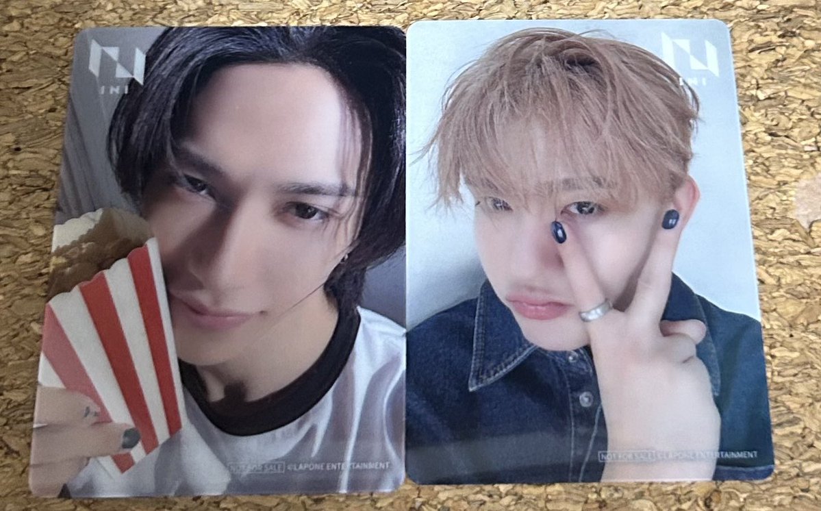 🐻‍❄️💫 tweet media